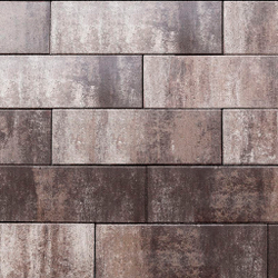 Тротуарная плитка ПРЯМОУГОЛЬНИК (ЛА-ЛИНИЯ) Б.6.П.8 600х200х80 мм Листопад гладкий Хаски