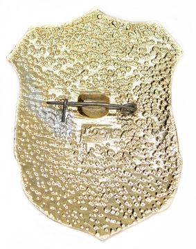 Значок "Дружинник" СССР, булавка