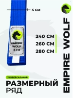 Синий пояс для единоборств 240
