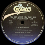 REO Speedwagon / You Get What You Play For (LP)