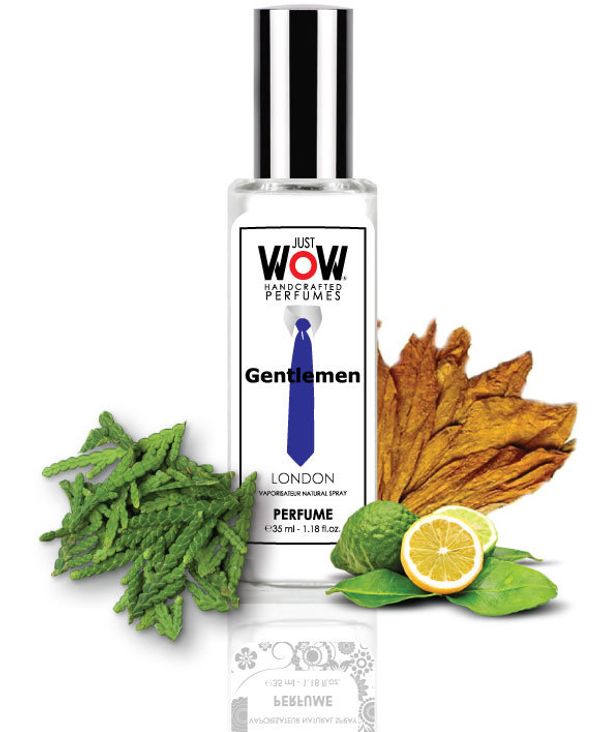 Croatian Perfume House Just Wow Gentlemen
