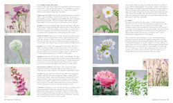 What Grows Together: Fail-Safe Plant Combinations for Every Garden