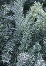 Уличная елка каркасная "Уральская изумрудная" (пвх бело-зелёная) 9 м