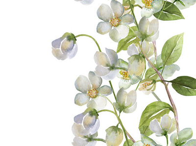 Дизайнерские обои Wall Street Floreale