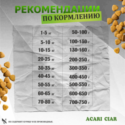 Acari Ciar Флагман