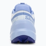 Женские Кроссовки для бега Salomon Speedcross 6 burro/sunny lime/almond cream