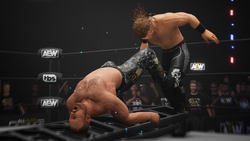 AEW: Fight Forever (для ПК, цифровой код доступа)