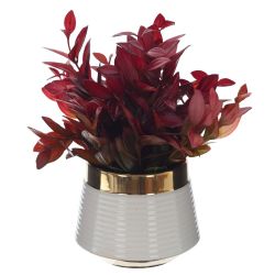 GAEM Цветочная композиция, L12 W12 H20 см