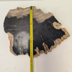 Набор из окаменелого дерева 4 предм Fossil Set NF-63292 поднос 149