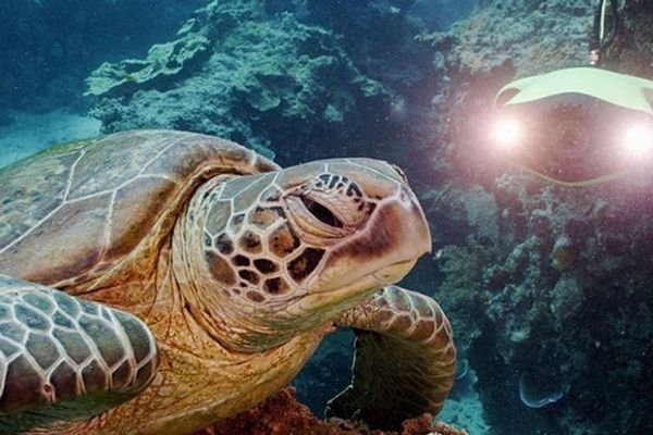 Подводный дрон Fifish P3