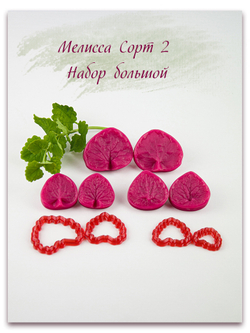 Мелисса. Сорт 2. Набор большой