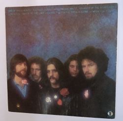 Винтажная виниловая пластинка LP Eagles One Of These Nights (USA 1975)