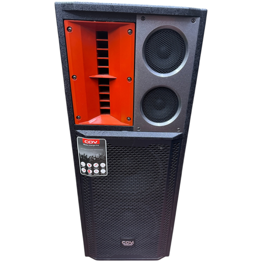 Колонка Wireless KDV-118