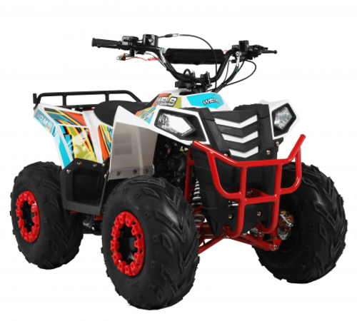 Квадроцикл WELS EVO.MAX