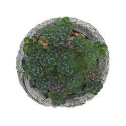 GAEM Цветочная композиция "Суккулент", L11 W11 H12 см