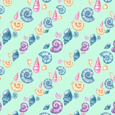 Акварельные ракушки