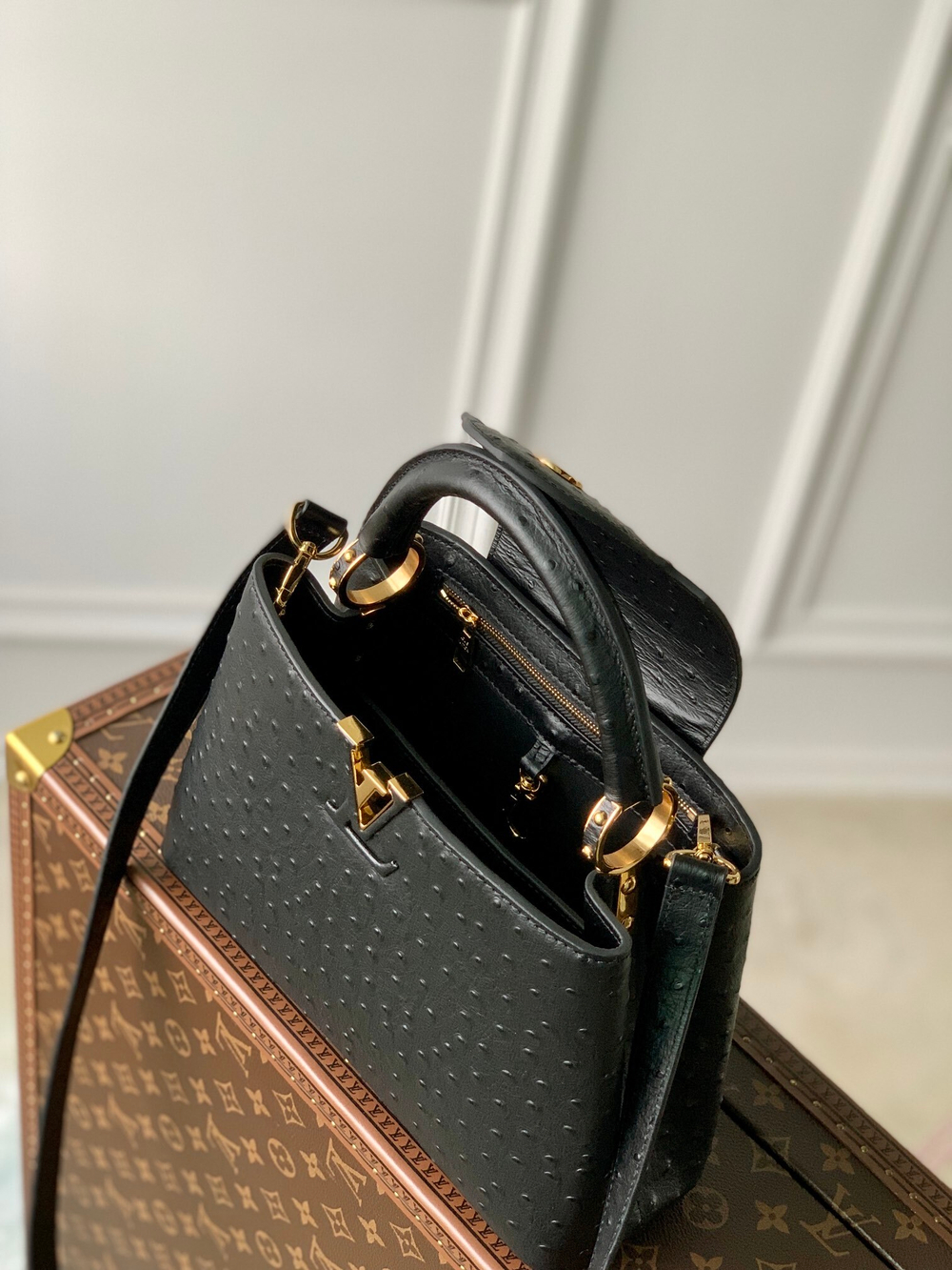 Louis Vuitton Capucines Mini