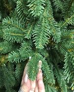 Искусственная ель на ножке «Датская» (хвоя литая) 180 см / 1,8 м