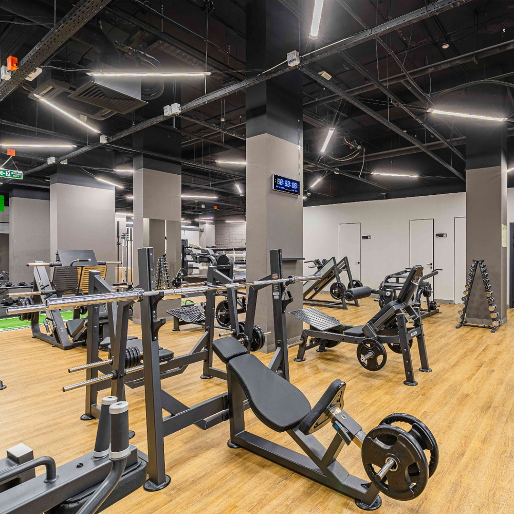 U3092 Ягодичный мостик