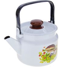 Чайник эмалированный КМЗ С-2710П2-4Рчгп 2 л