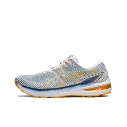 Мужские кроссовки ASICS GT-2000 10 'Light Steel Amber' 1011B185-404
