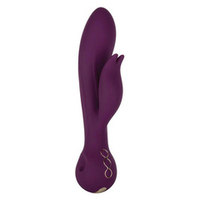 Фиолетовый вибратор-кролик 22,25см California Exotic Novelties Desire SE-4385-15-3