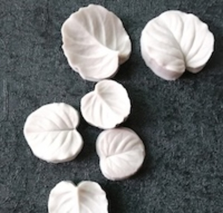 Набор вайнеров  для лепки листьев эвкалипта Coprussia