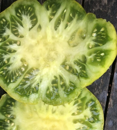 ЗЕЛЕНЫЙ ИЗ НЕРПИО