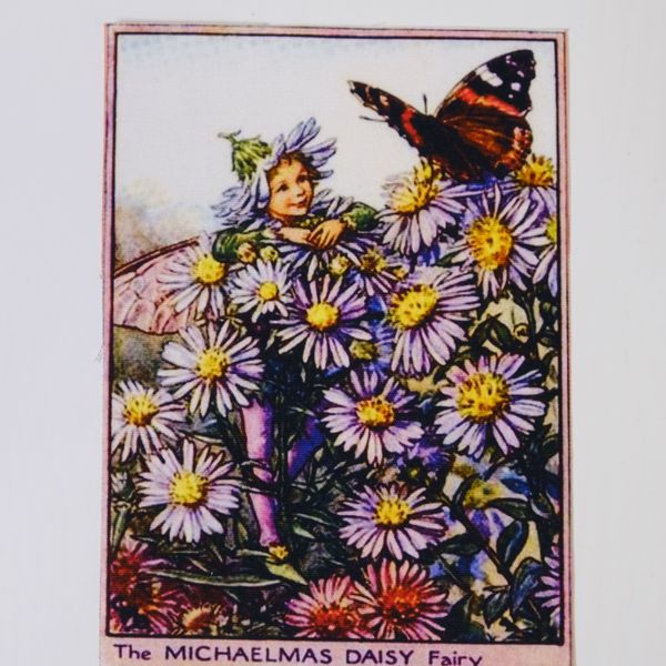 THE MICHAELMAS DAISY FAIRY  Панно, холст 20 / 15 см 1