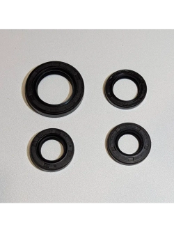 Набор сальников 139QMB 50/80см3