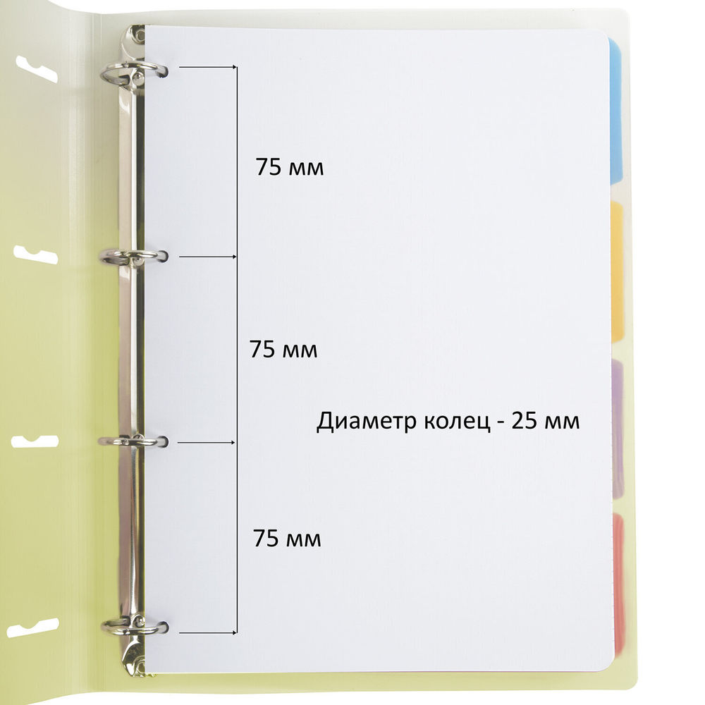 Тетрадь на кольцах БОЛЬШАЯ 305х235 мм А4 120 л. пластик с разделителями BRAUBERG желтый (2 штуки в упаковке)