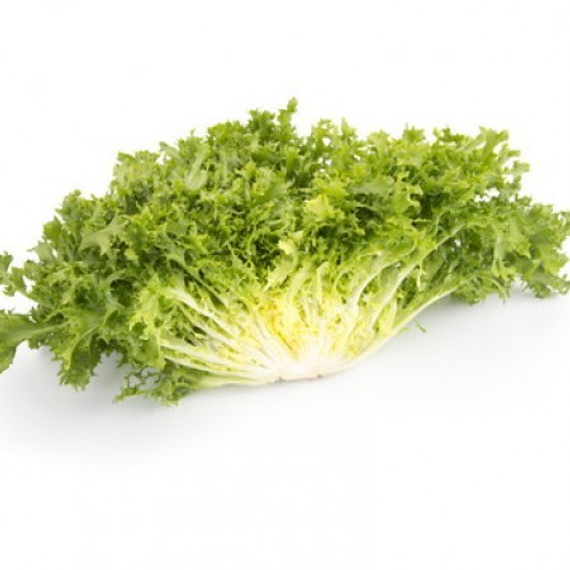 Берлинал семена эндвия – фото 3