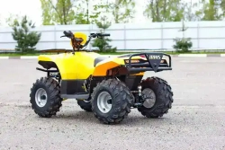Квадроцикл IRBIS ATV125