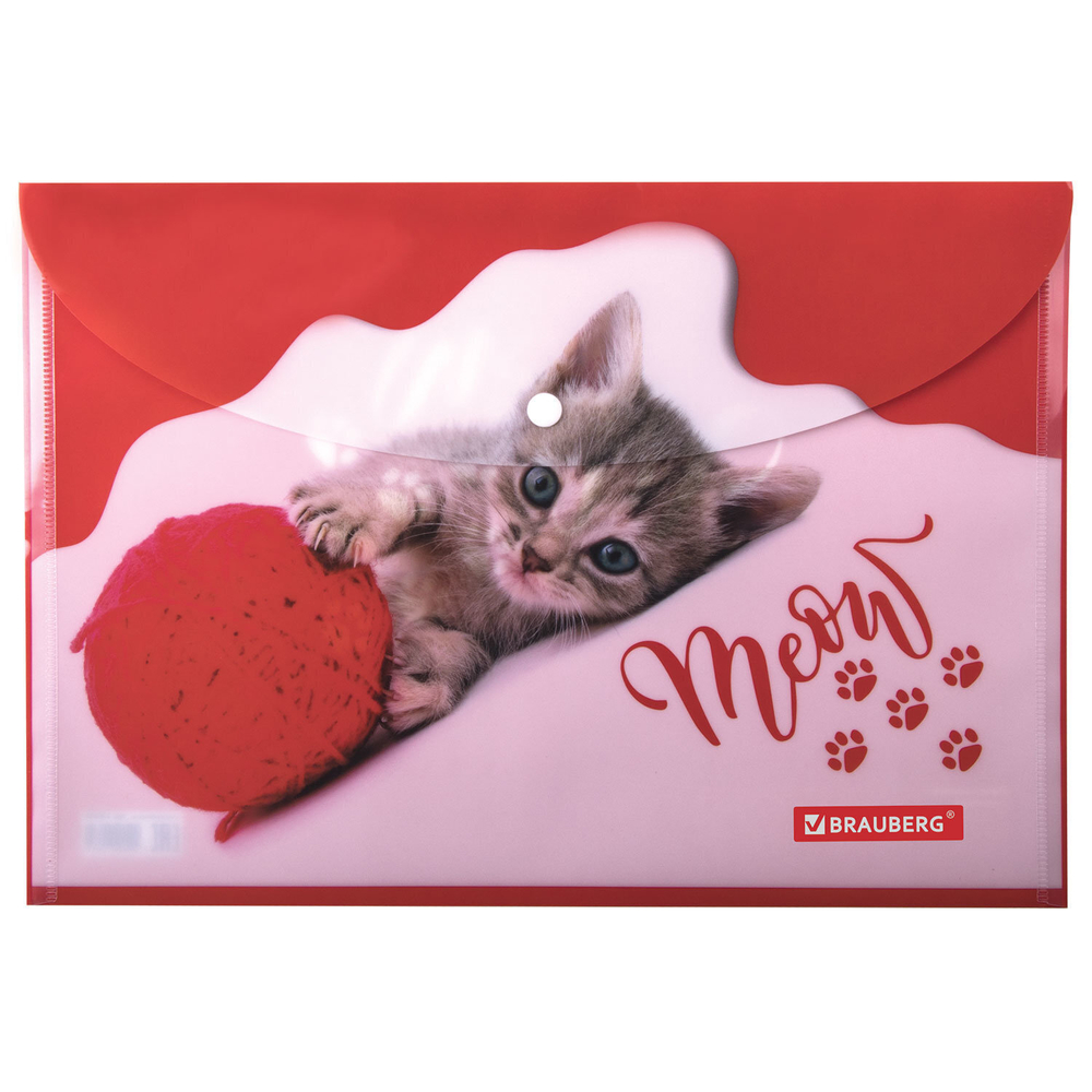 Папка-конверт с кнопкой BRAUBERG "FUNNY CAT" А4 160 мкм цветная печать (12 штук в упаковке)
