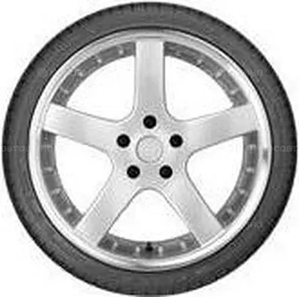 Goodyear Eagle F1 Asymmetric 255/30 R19 91Y RF