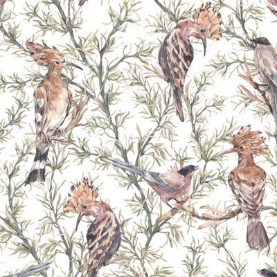 African birds on a light background