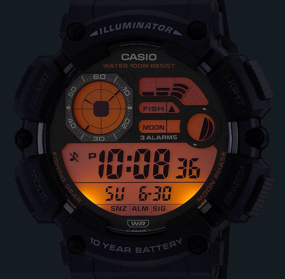 Мужские наручные часы Casio WS-1500H-2A