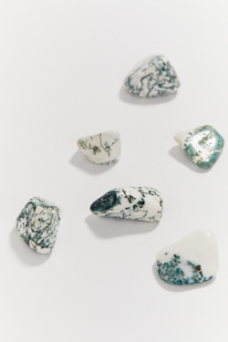 Древесный агат