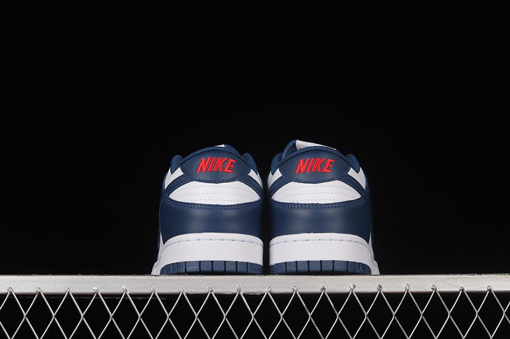 Nike Dunk Low Valerian Blue
