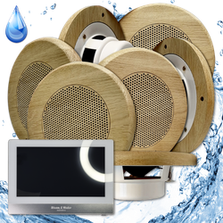 Комплект домашней акустической системы с караоке-усилителем Steam & Water SOUND SAUNA R7