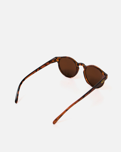 Очки Anteater Доктор Леопард/Коричневый