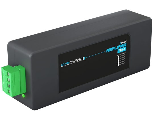 CVGAUDIO NB-1 стереофонический двухканальный цифровой усилитель D-класса