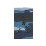 Фальшпогоны Камыш (ст. лейтенант)