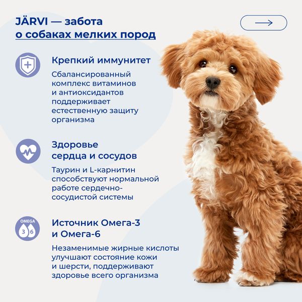 Сухой корм Jarvi для взрослых собак мелких пород, говядина