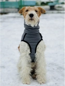 Свитер для собак одежда для басенжди