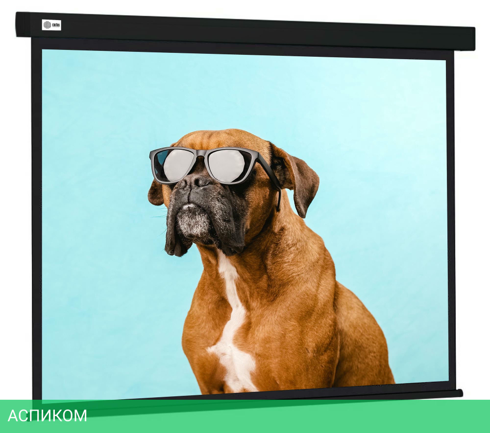 Проекционный экран Cactus CS-PSW-183X244-BK черный