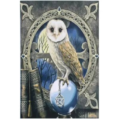 Алмазная мозаика на подрамнике с полным заполнением «МИР ЯРКИХ КРАСОК», Букля у окна, 20*30 см