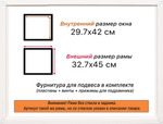 Рама 29,7x42 для картин и фотографий RP0330360-09