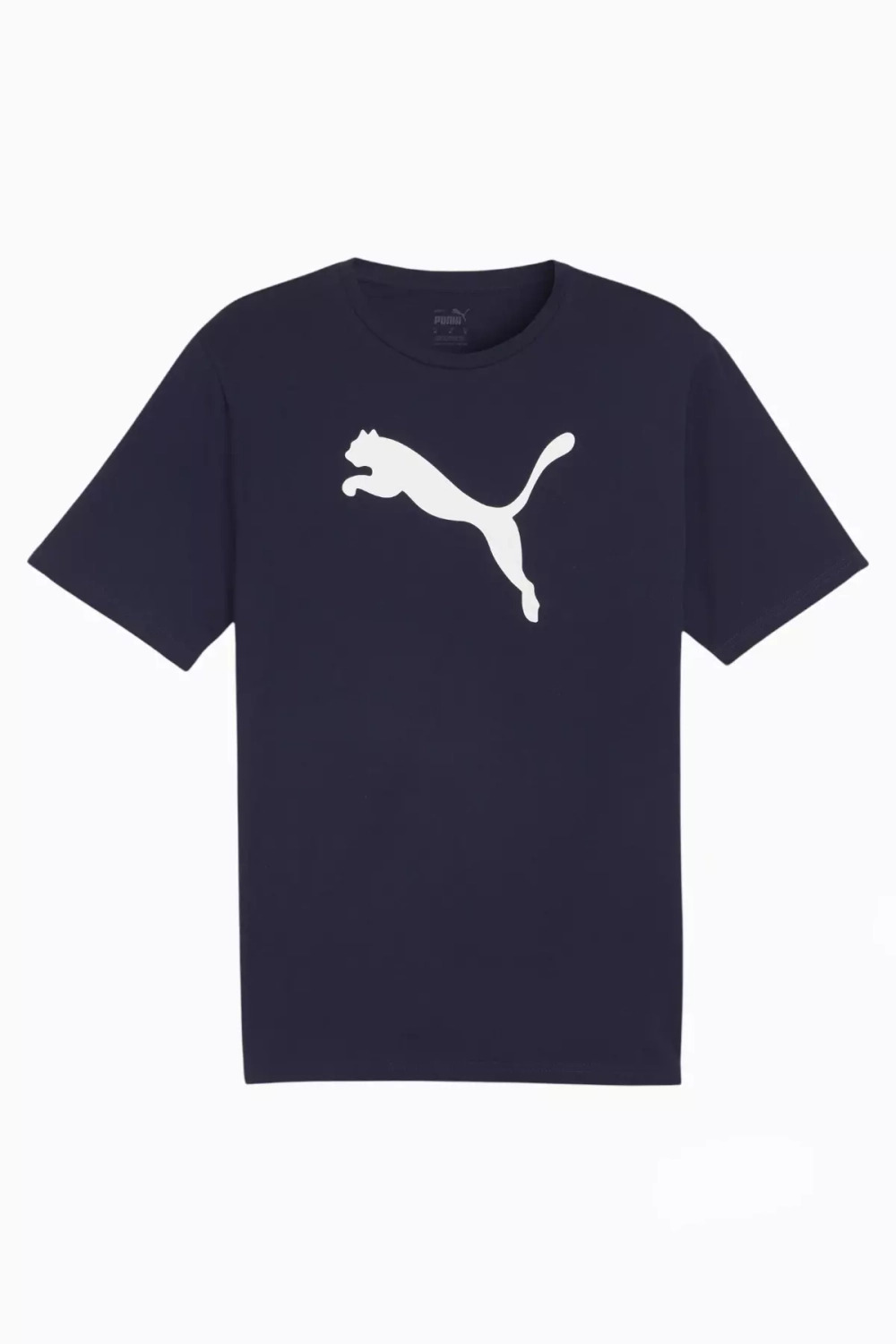 Футболка Puma teamRISE Logo