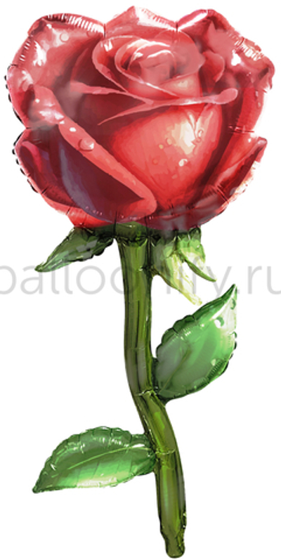 Шар (38''/97 см) Фигура, Роза, Красный, 1 шт.